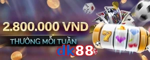 dk88