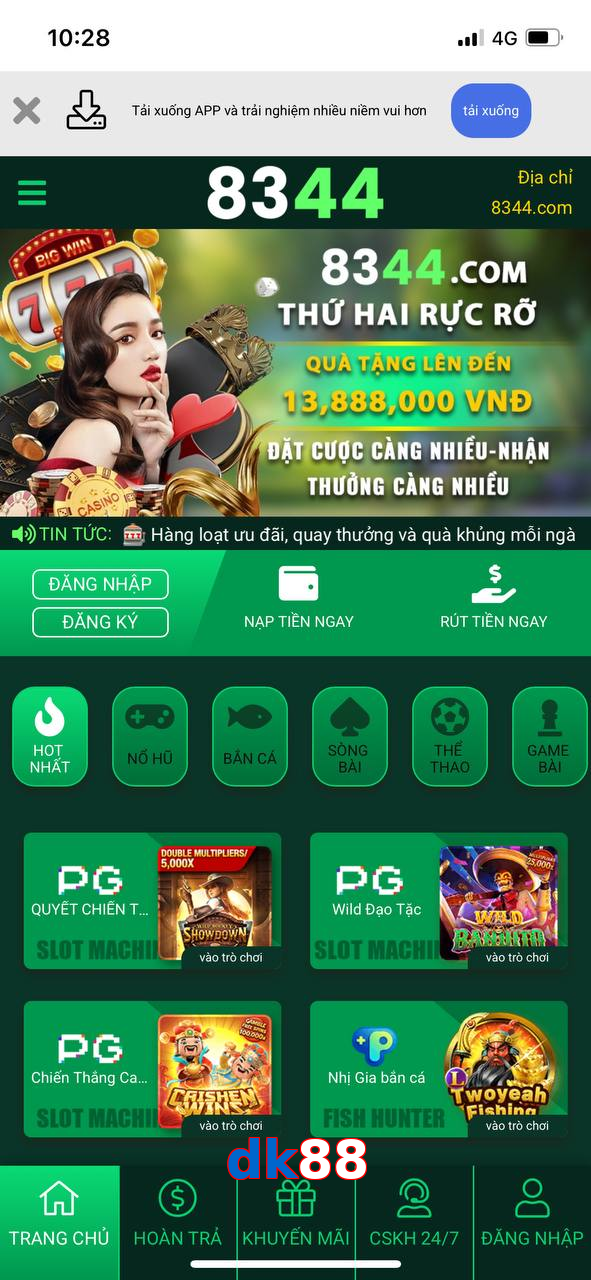dk88
